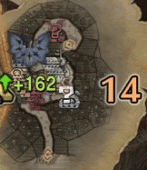 陸珊瑚の台地_14