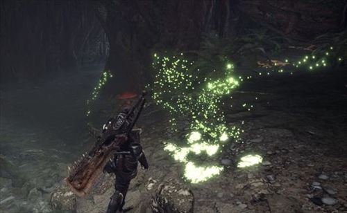 モンスターの痕跡と導蟲