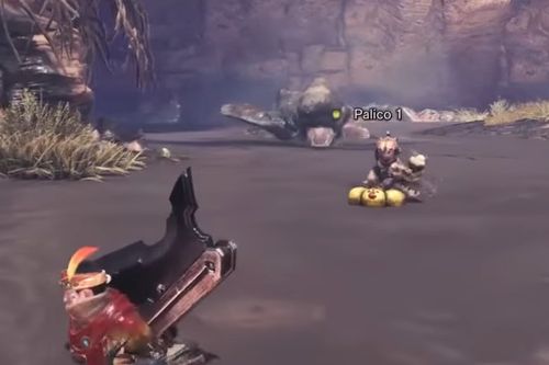 沼地でのオトモ